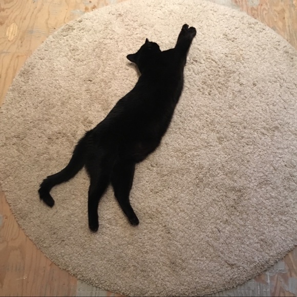 Meet your Posher, K - Picture 1 of 1